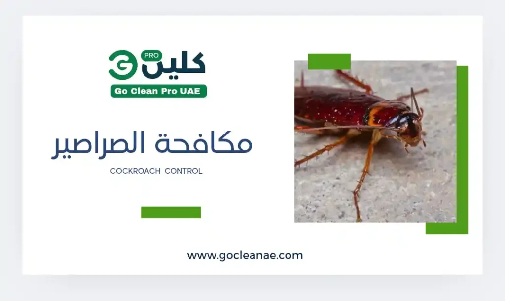 مكافحة الصراصير في دبي