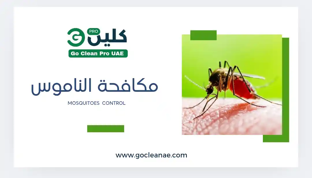 مكافحة الذباب والناموس في دبي