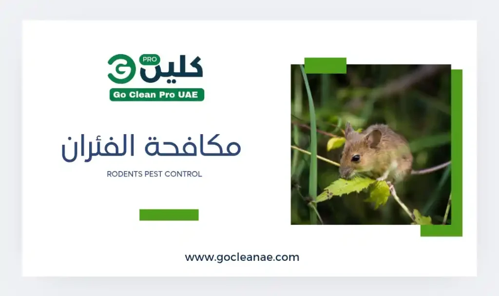 مكافحة الفئران - Rodents Removal